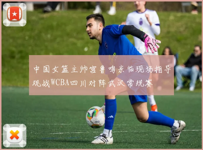 中国女篮主帅宫鲁鸣亲临现场指导观战WCBA四川对阵武汉常规赛